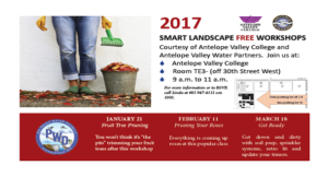 Pruning Your Roses - Free Smart Landscape Workshop @ Antelope Valley College | Lancaster | California | United States